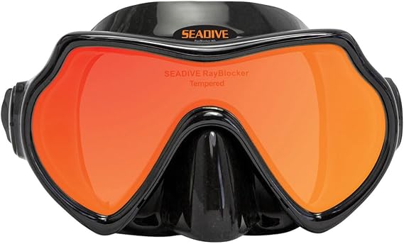 Eagleye RayBlocker-HD Mask - Black Silicone