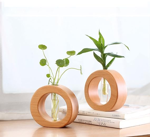 Test Tube Vase with Wooden Stand, 2Pcs Glass Planter Propagation Station Clear Tube Flower vase, Desktop Plant Terrarium Glass vase for Office Home Decor