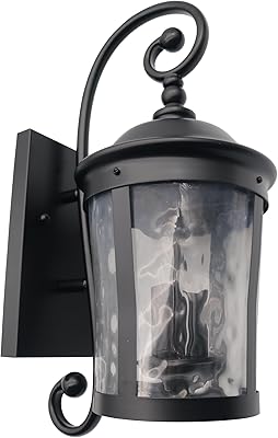Capital Medium Upgrade Coach Light 1-Light Waterproof Outdoor Wall Lighting Matte Black Clear Water Glass for Porch Garage Patio Hallway Entryway