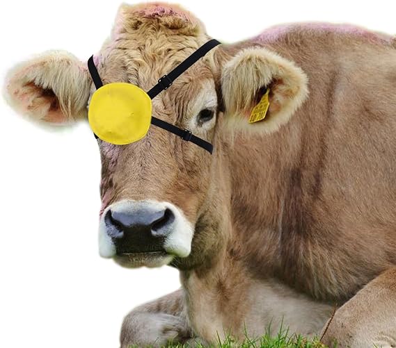 Cattle Eye Covering Cattle Eye Injury Patch Ox Pinkeye Treatment Eyepatch Single Eyepatch for Cow Cattle Ox Horses Livestock Sheep Eyes Protective Fly Mask Bridle Accessories