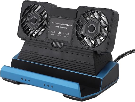 ciciglow 9 in 1 Docking Station, Handheld Gaming Console Dock with Dual Cooling Fan RGB Hub, for Steam Deck, for Steam Deck OLED, for ROG Ally, for ROG Ally X, for Legion Go