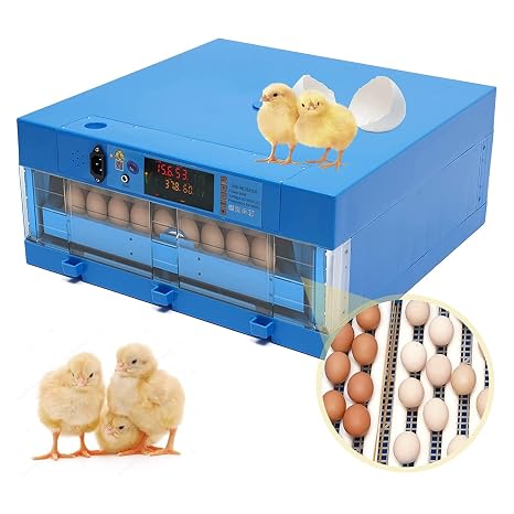 64 Fertile Chicken Eggs, Automatic Egg Turning, Temperature and Humidity Control, Auto Water Refill,for Hatching Chickens/Ducks/Quail
