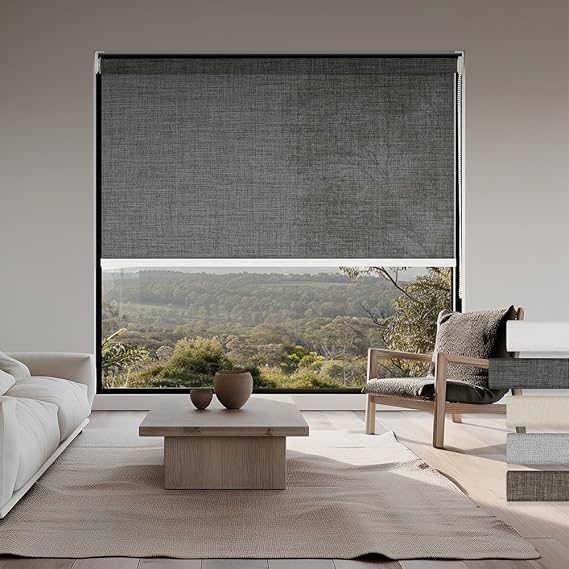 Light Filtering Roller Shades for Windows 3% Openness Solar Shades UV Protection Light Filtering Blinds Heat Insulated Sheer Window Shades for Home Office Door,Charcoal Grey,54" W x 64" H