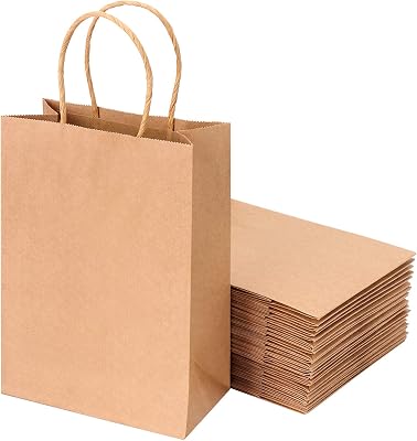 Brown Kraft Paper Bags with Handles - 27pcs Small Paper Gift Bags Bulk, Shopping Bags, Retail Bags, Party Bags, Favor Bags, Kraft Bags, Recycled Paper Bags for Business 5.7 x 3.14 x 8.26 Inches