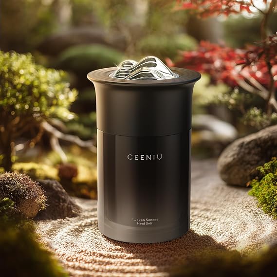 CEENIU CF23 Car Air Freshener, Deodorizer, Aroma Balm, For Rooms, Approx. 3 Months, Natural Fragrance From France, Relax, Large Capacity, Karesansui Design