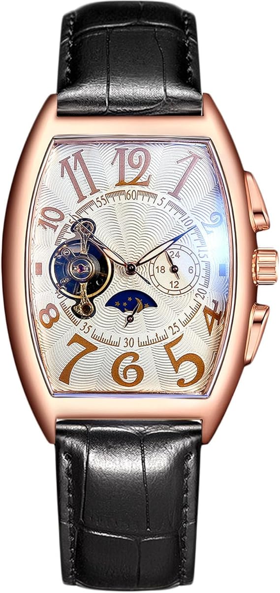 rorios Men's Watches Mechanical Automatic Watch Skeleton Moon Phase Dial Military Watch with Leather Strap