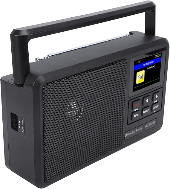 Portable DAB FM Radio, Battery Operated or AC Power, Big Speaker, Radio with Bluetooth, LCD Screen Display, for Gift, Elder, Home (US Plug 100-240V)