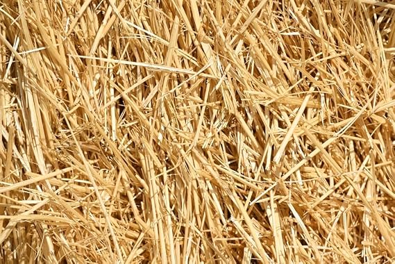 Wheat Straw 100% Natural Soft Dry Straw Bale Grass Cover Garden Mulch