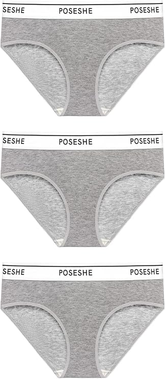 POSESHE Women's Micro-Modal Hipster Panties Briefs Underwear,in Plus Size
