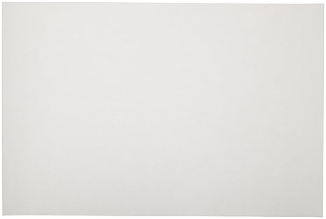 Sax Sulphite Drawing Paper, 80 lb, 12 x 18 Inches, Extra-White, Pack of 500-053946