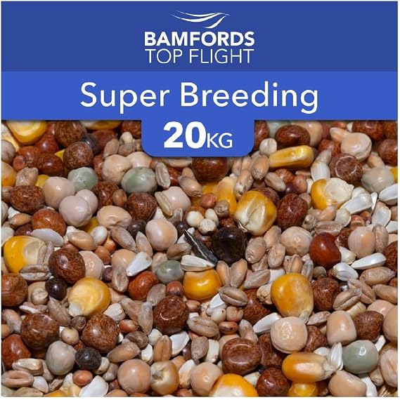 Bamfords Super Breeding Pigeon Food