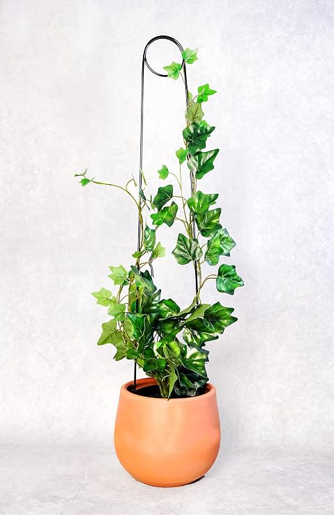 Bitki Destek Çubuğu – Siyah Metal Kancalıiğne Model, 65 cm, Sarmaşık ve Büyük Yapraklı Bitkiler İçin