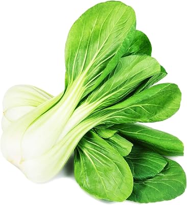 Cabbage Pak Choi Bok Choy Japanese  Chinese Cabbage Non-Heading Leafy Non GMO Heirloom Asian Vegetable 400 Seeds
