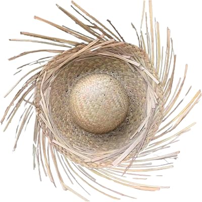 Hat Handmade Straw Hat Hawaiian Styles Dress Up Props Straw Hat With Ripped Brim