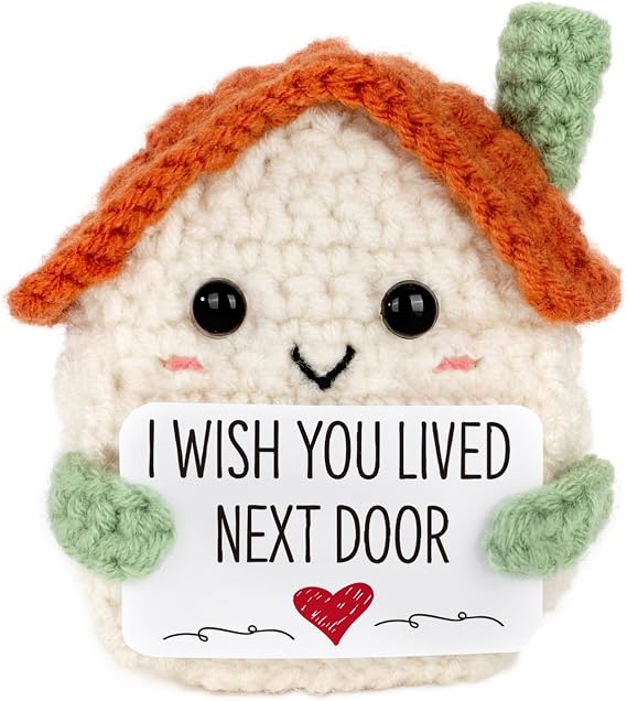 Friendship Gifts for Women Bestie Her Him I Wish You Lived Next Door Long Distance Friendship Gift Crochet House Birthday Moving Away Going Away Present