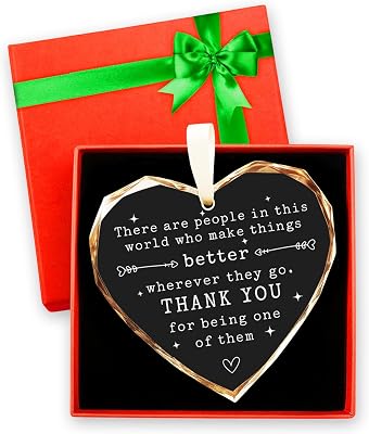 Thank You Gifts for Women, Boss, Coworkers, Manager, Mentor, Mom, Friends, BFF, Men - Teacher, Nurse, Employee Appreciation Gifts - Glass Ornament