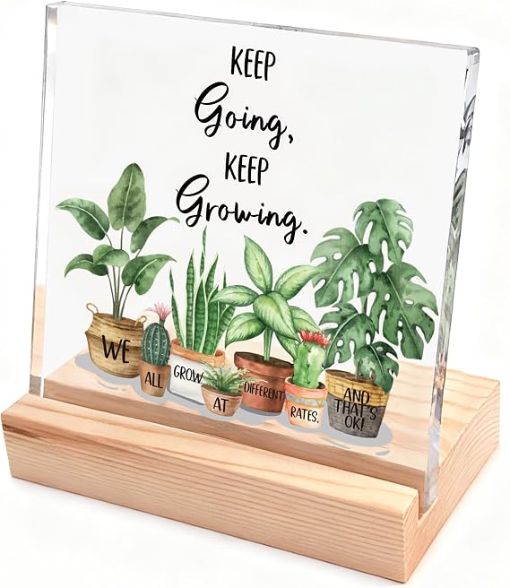 Motivational Decor Sign for School Counseling Office, Therapy Teacher Counselor Office Desk Decor for Classroom, Dorm, Cubicle, Inspirational Gifts for Women, Girl, Coworker