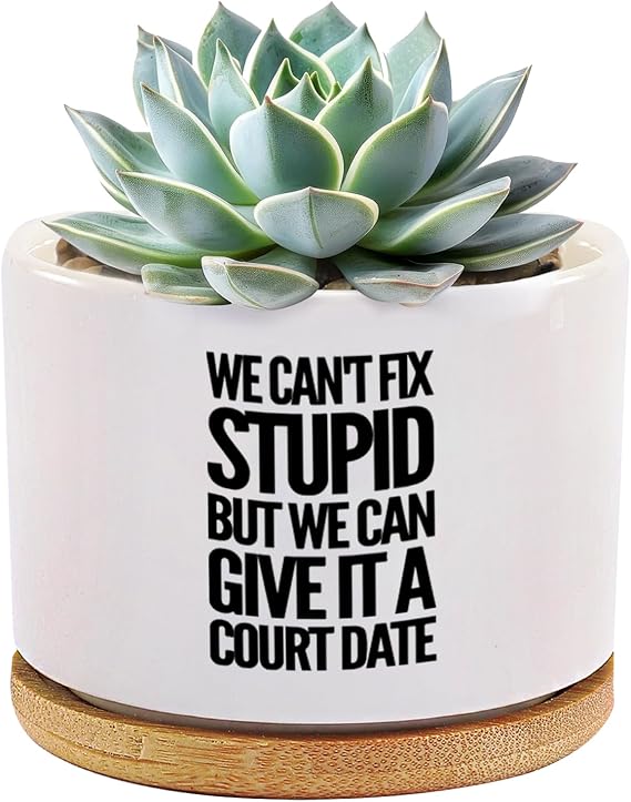 We Can't Fix Stupid But We Can Give It A Court Date Lawyer Gifts Ceramic Succulent Plant Pot with Bamboo Tray Round Law Student Attorney Home Office Decor Plant Lover 3.5 Inch White (No Plants)