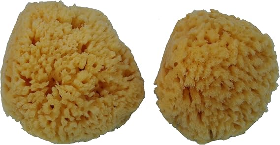 Reusable Dead Sea Sponges Natural