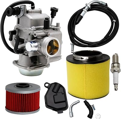 Anxingo Carburetor Replacement for Honda Fourtrax 300 1988-2000, Fourtrax 350 1986-1987, Foreman 400 1997-2004, Foreman 450 1998-2004, Rancher 350 1987-2000