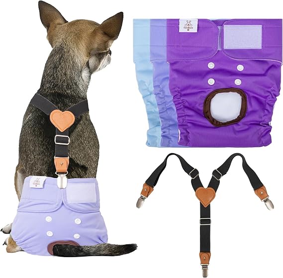 CuteBone Dog Diapers Female 3 Pack Reusable Doggy Diapers with One Suspender for Small Medium Large Dog Period BDD01S