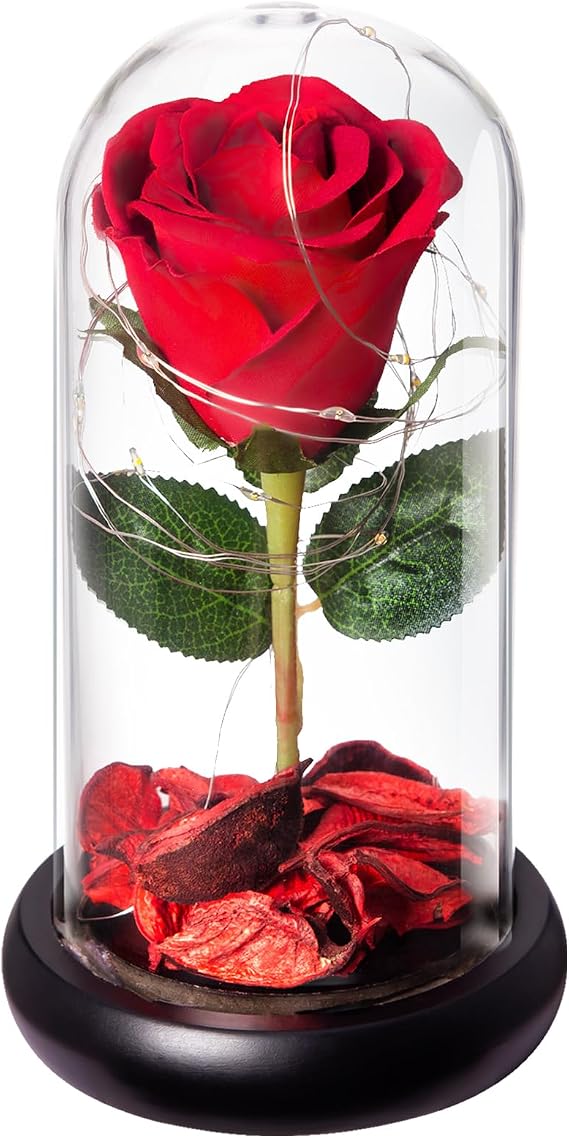 DHOEM Preserved Silk Rose Flowers in Glass Dome Light Up Gifts For Women,Artificial Red Rose Forever Flower Gifts for Wife Women Mom Best Friend Girlfriend Grandma,Eternal Roses Gifts for Wife(7inch)