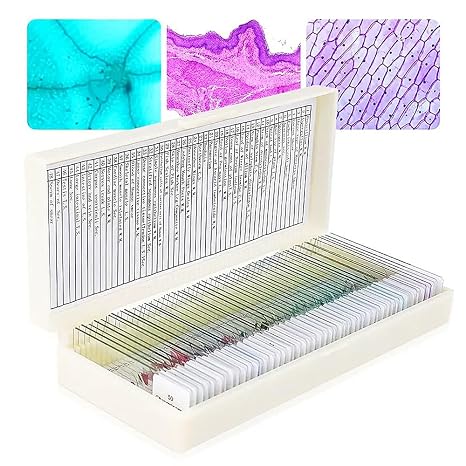 Set of 50 Pieces Human Histology Microscope Slides