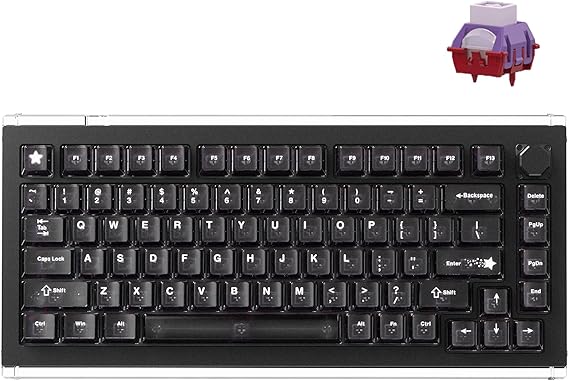 DrunkDeer A75 Master Rapid Trigger Keyboard, Esports Gaming Keyboard, Magnetic Switch, Adjustable Actuation - RT Plus - RT Match, 0.01mm, 8K Hz, 75% Design - ANSI, Black - TTC POM Switch