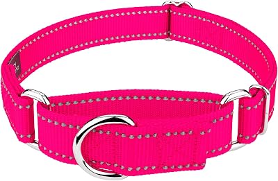 Country Brook Petz - Vibrant 8 Color Selection - Reflective Nylon Martingale Dog Collar Medium, 1 Inch, Hot Pink