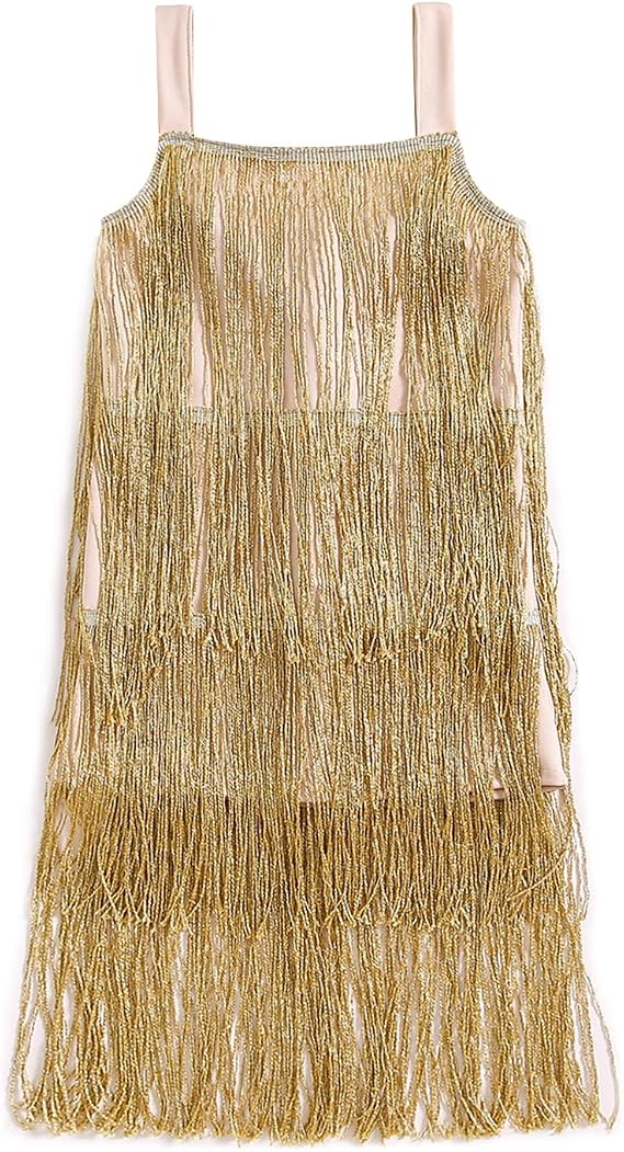 Honganda Kids Toddler Girl Sequin Fringe Tassel Dress - Sparkly Sleeveless Latin Dance Birthday Party Concert Dress 3-10T