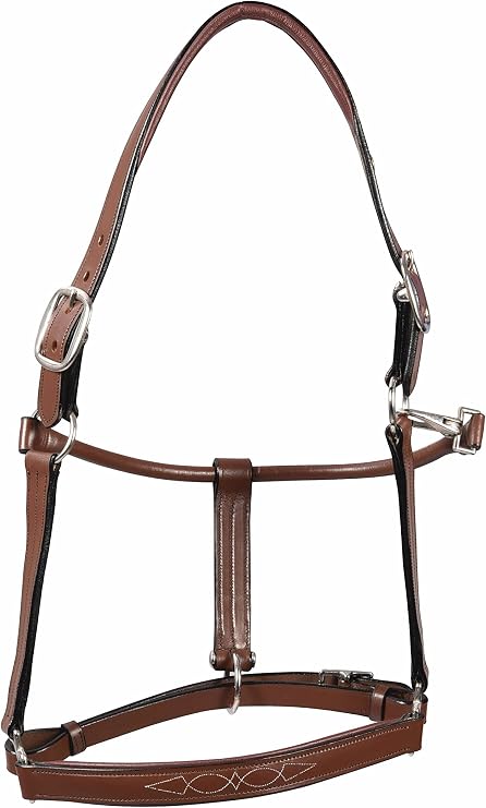 Henri de Rivel Pro Fancy Padded Rolled Throat Triple Stitched Halter
