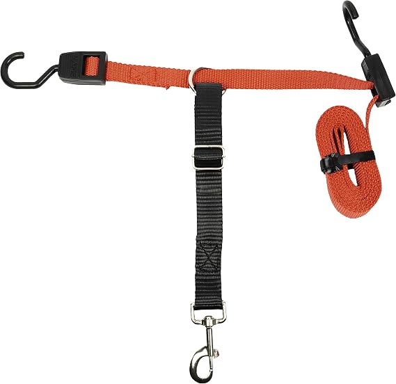 PetSafe Happy Ride Dog Zipline Car Leash | Secures Dog in Backseat While Allowing Mobility, Reduces Driver Distraction, Durable Nylon, Fits Most Vehicles, All Dog Sizes