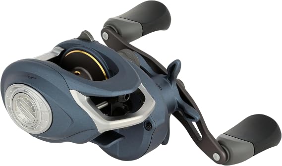 Pflueger President Low Profile Baitcast Fishing Reel