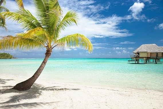 Palm Tree Wall Art Huts on Tropical Beach Photo Photograph Sunset Landscape Pictures Ocean Scenic Scenery Nature Photography Paradise Scenes Thick Paper Sign Print Picture 12x8