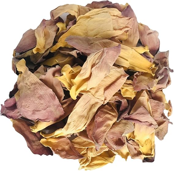 50g/1.76oz Natural Dried Pink Lotus Harvested in 2025