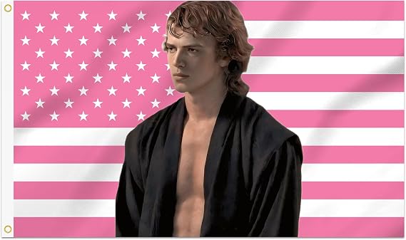 2x3 Ft Hayden Decorative Christensen Flag Double Stitched with 2 Brass Grommets for Indoor Outdoor, Wall Hanging AnakinSkywalker Tapestry College Dorm Room Decoration (Pink American, 2x3 ft)