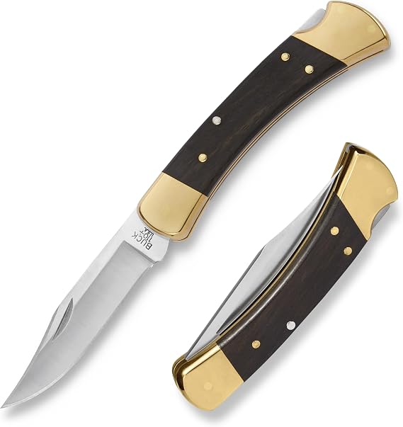 Buck B110 Folding Hunter Lock Knife