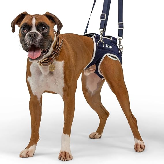 Life Hip Dysplasia Brace Dog Hip Support Harness Hind End Adjustable Compression Brace - Distribute Weight Evenly Helps Prevent New Injuries Rear Support Aide (Extra Small)