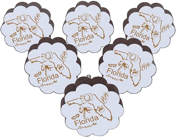 White Florida State Engraved Wooden Cupboard Door Knobs Pull Handle Pack of 10