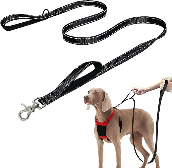 Sporn Dual Handle Padded Dog Training Leash, 6ft Long Dog Leash Heavy Duty for Maximum Control, 360-Degree Swivel with Reflective Strap for High Visibility in Low Light Condition, Black