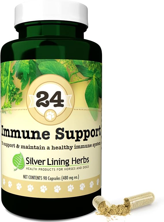 Silver Lining Herbs Dog Immune Support Supplement - 90 Capsules