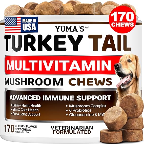 Turkey Tail Mushroom for Dogs - 170 Count - Mushroom Chews for Dogs