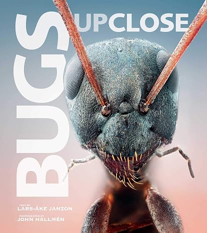 Bugs Up Close: A Magnified Look at the Incredible World of Insects