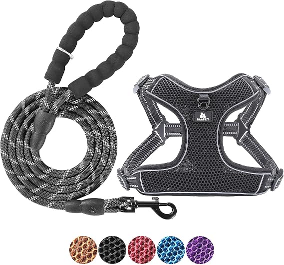 BAAPET Breathable Dog Harness for Small Puppy, Medium Dogs Step-in and Air Mesh with 6 Feet Reflective Rope Dog Leash (S - 6 FT x Chest (17~19''), Black)