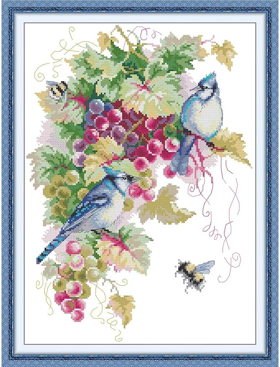 CROSSDECOR Stamped Cross Stitch Kits-Blue Jays and Grapes Embroidery Patterns Full Set for Beginners or Adults,11 CT 3 Strands DIY Crossstitching Arts Craft,for Gift and Home Decor 1621.6 inch