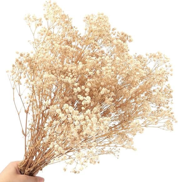 Dried Baby's Breath Flowers Bouquet 2000+ Natural Dried Flowers Baby's Breath Real Gypsophila Branches for Wedding Table Vase Party Garden DIY Wreath Floral Home Decor(Beige)
