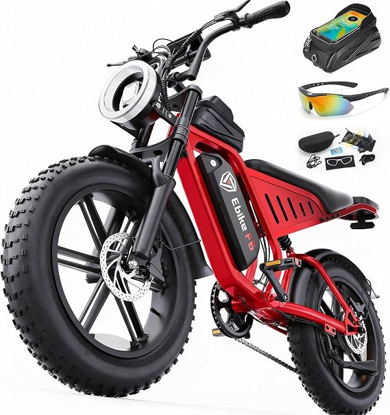 DTTZH F6 Adult Electric Bike, Fast E Bike for Adults Fat Tire Ebike