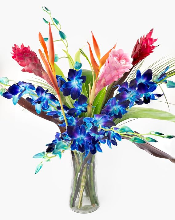 Fresh Orchids and Tropical Flower Bouquet, Perfect for Birthdays, Easter, Mother's Day, Anniversaries, Gifts, etc. (Multicolor - Blue)
