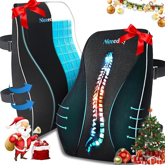 Niceeday Lumbar Support Pillow for Office Chair Car,Gel Lumbar Support Pillow for Office Chair Car