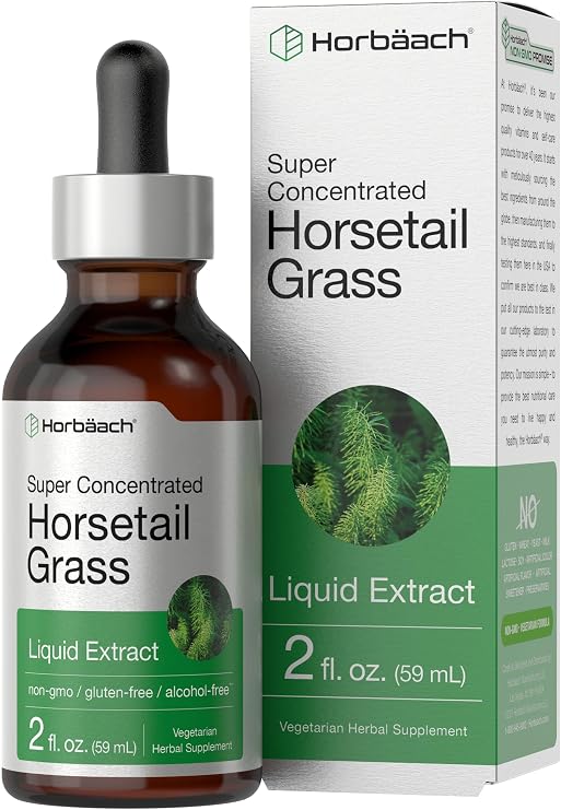 Horbaach Horsetail Herb Liquid Extract | Alcohol Free | 2 fl oz | Vegetarian, Non-GMO, Gluten Free Supplement